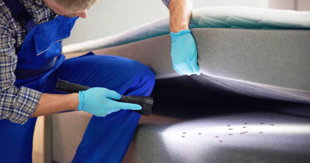 Best Pest Prevention Services  in Clymer, PA