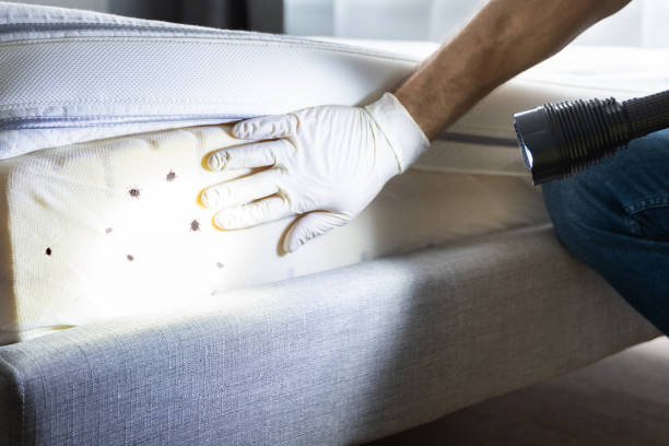 Best Pest Inspection Near Me  in Clymer, PA