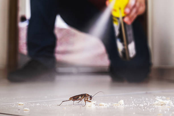 Best Residential Pest Control  in Clymer, PA