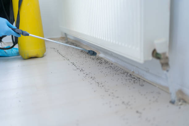 Best Affordable Pest Control Services  in Clymer, PA