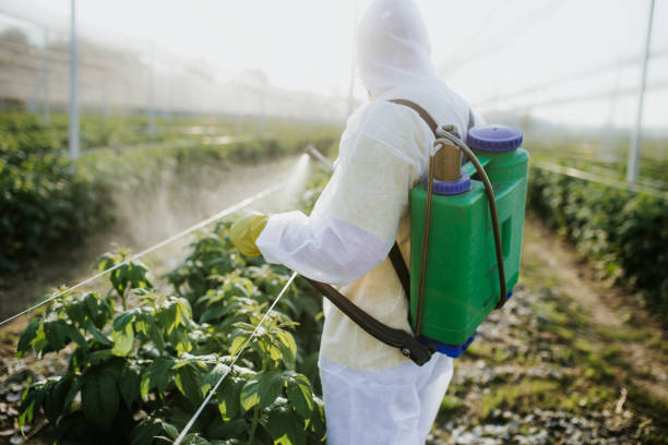 Best Cockroach Control Services  in Clymer, PA